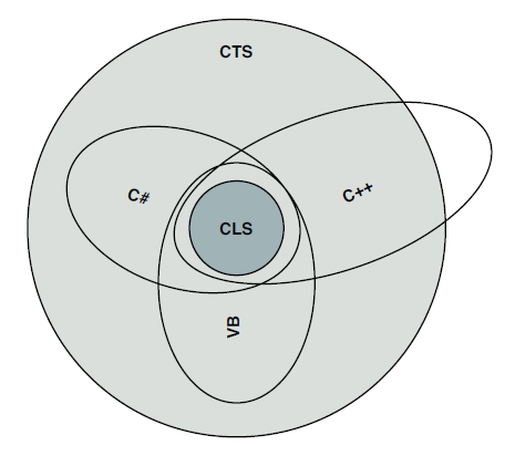 Common type system