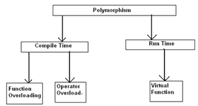 Polymorphism